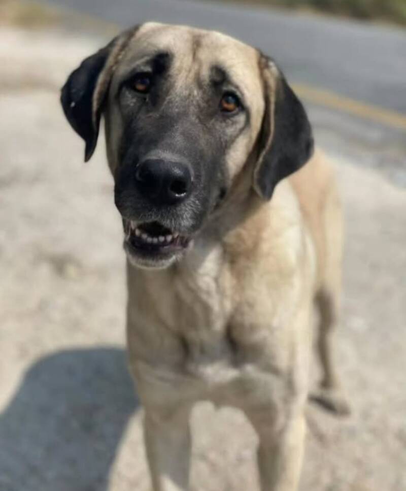 zutraulich und neugierig