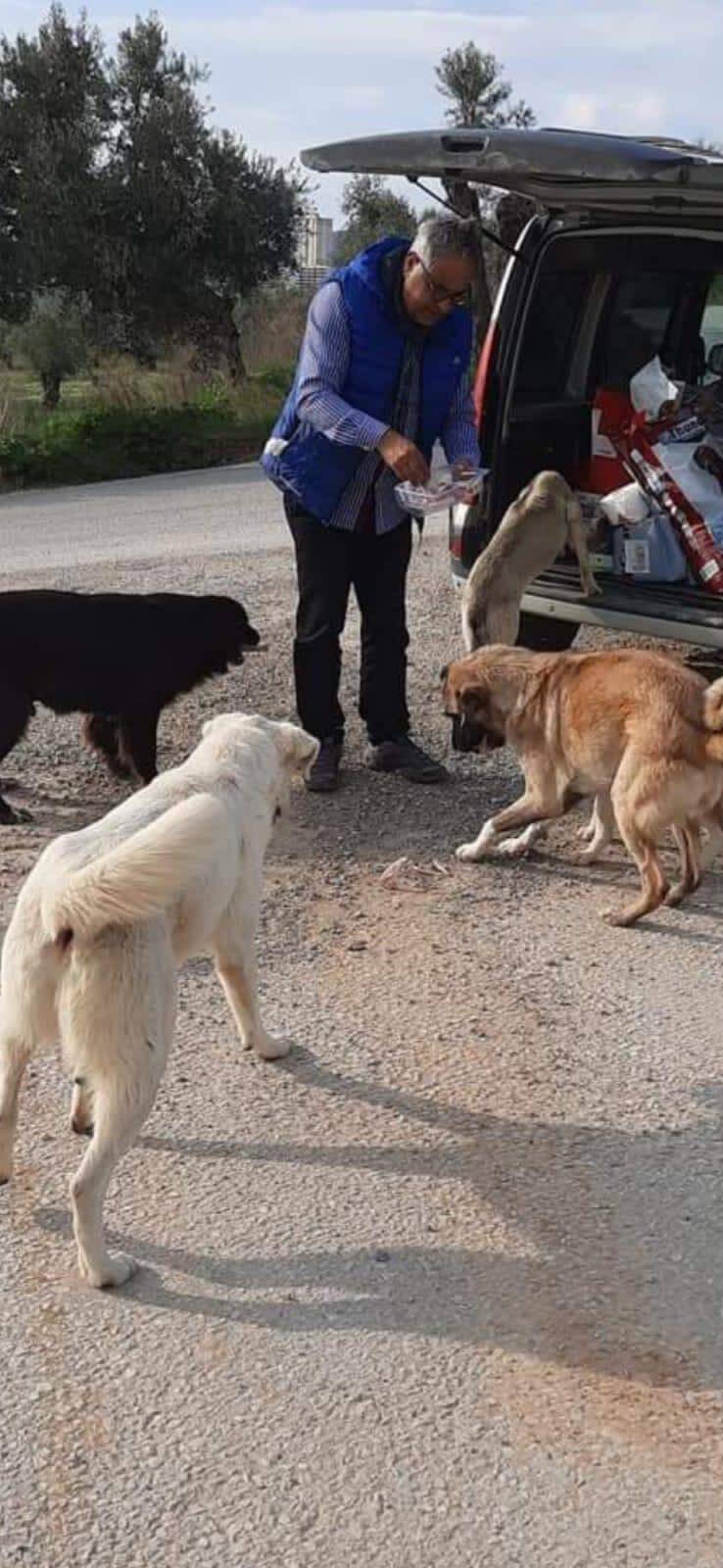 "Futterautomat" neben dem Auto
