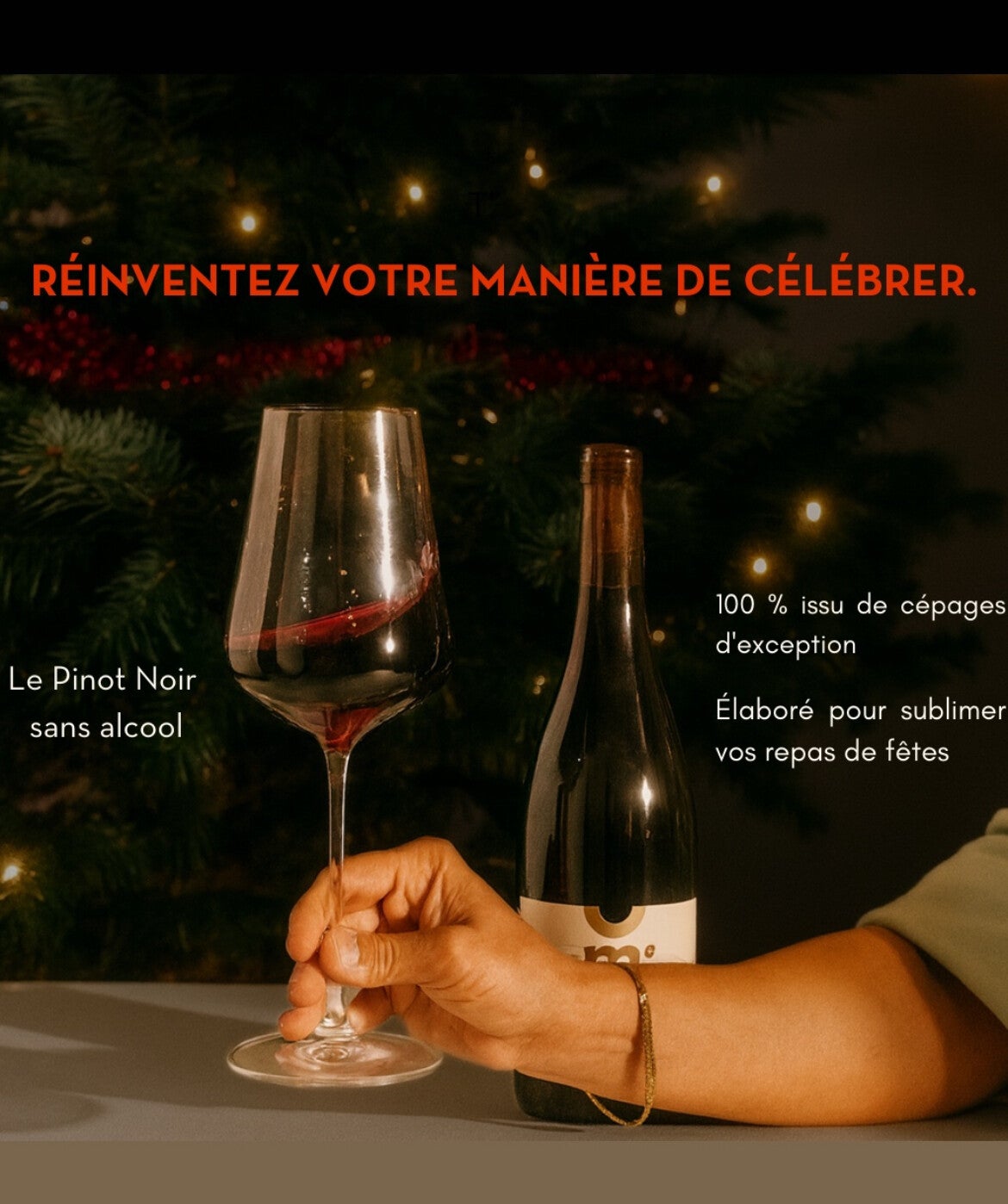 Pinot noir rouge 12 bouteilles