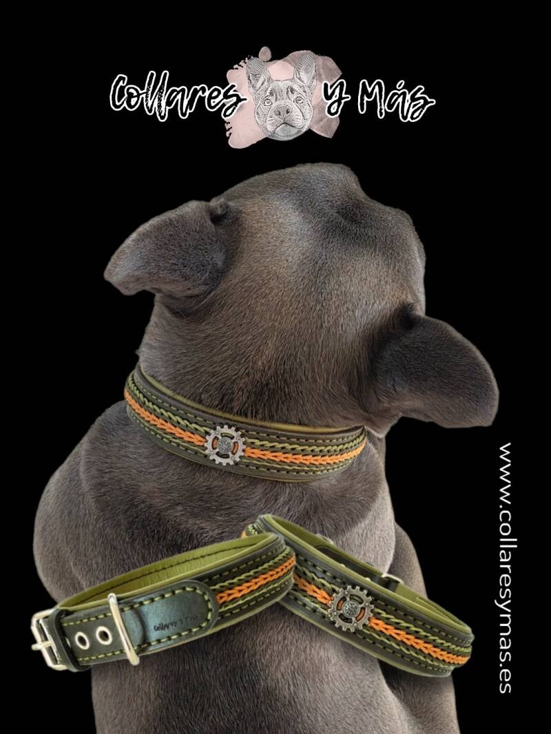 Nieuw ontwerp leren halsband met vlechtwerk