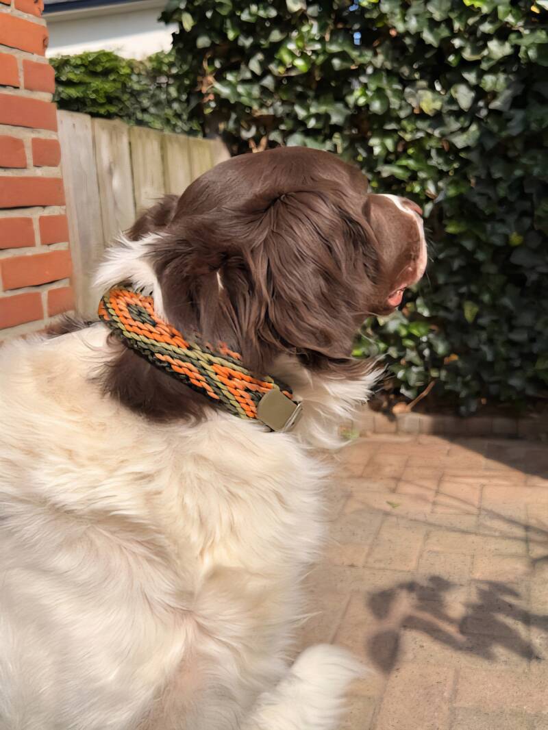 Klant met onze halsband