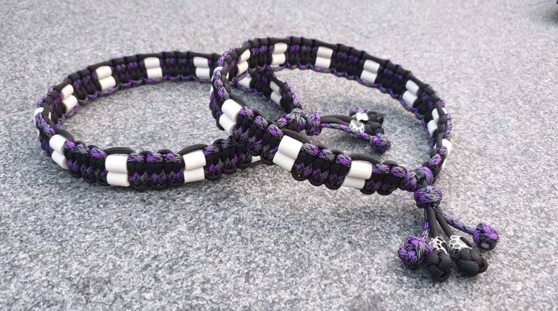 Dubbele Anti Tekenband 