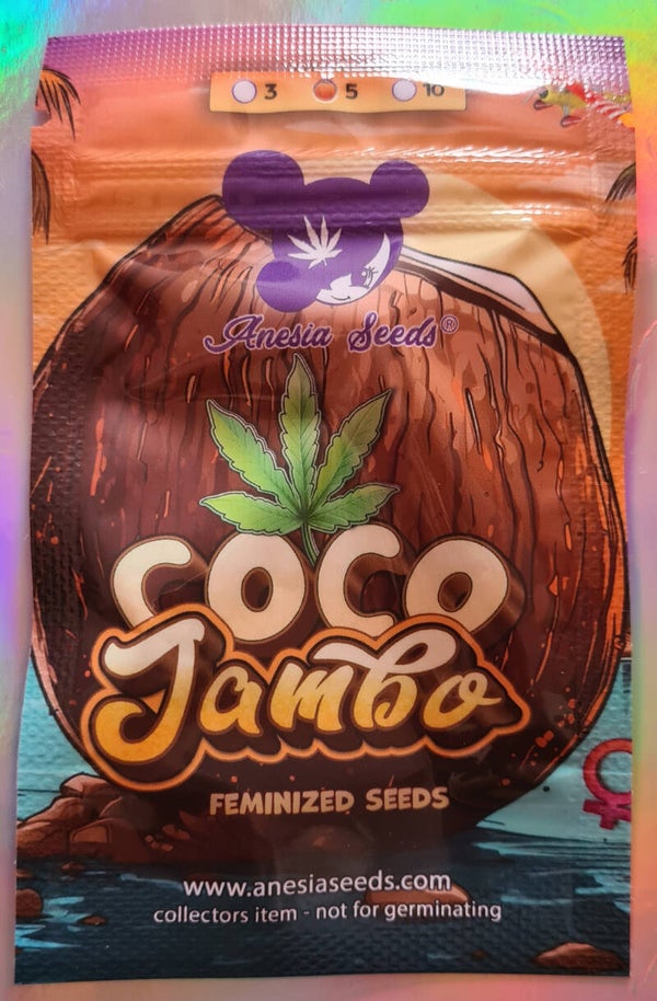 Coco Jambo Female Seeds 5 Pack