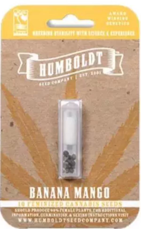 Banana Mango Female Seeds 5 Pack