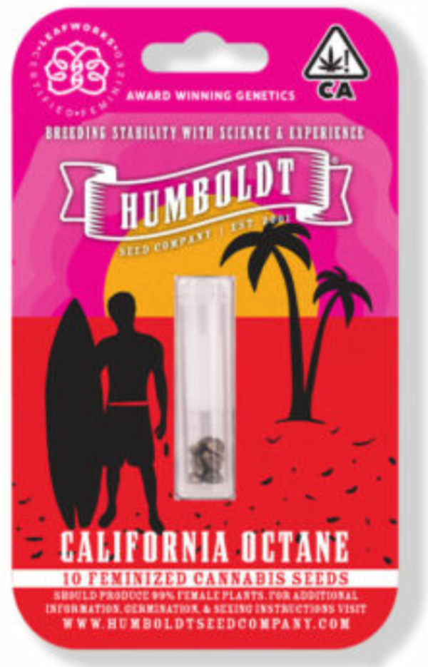 California Octane female seeds 5 pack