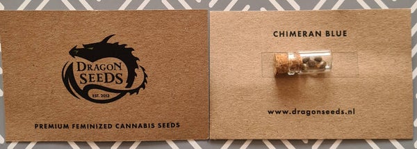 Dragon Seeds Chimeran Blue female seeds 5 Pack