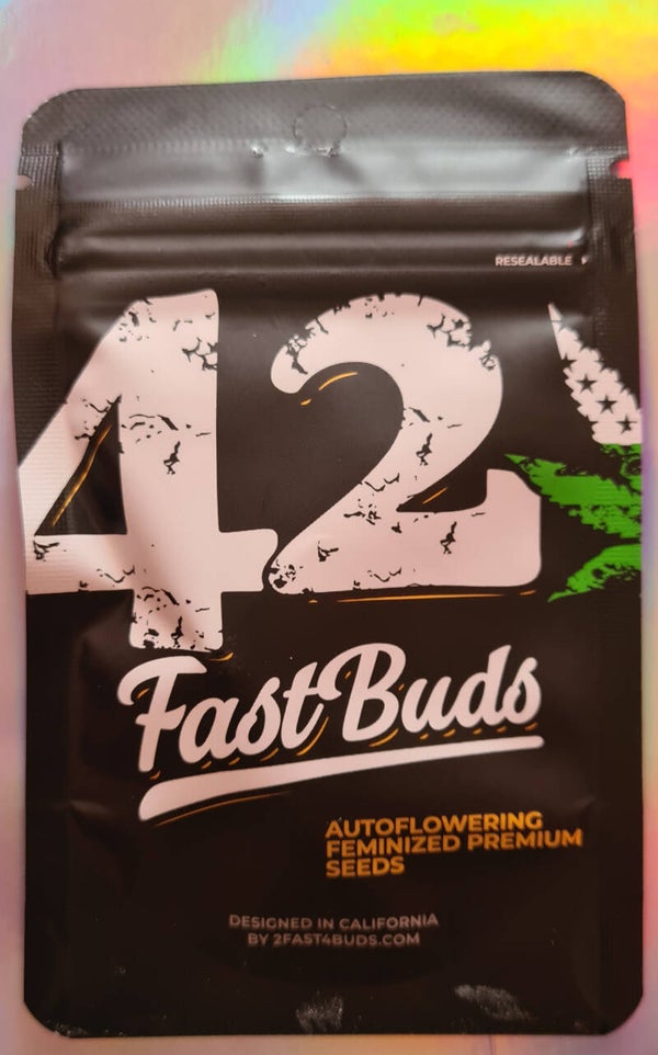 Fast Buds Mimosa Cake Auto 5 Pack