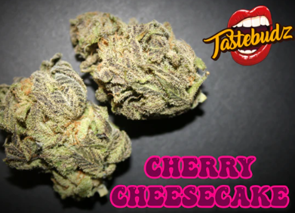 Tastebudz Cherry Cheesecake Auto 5 Pack