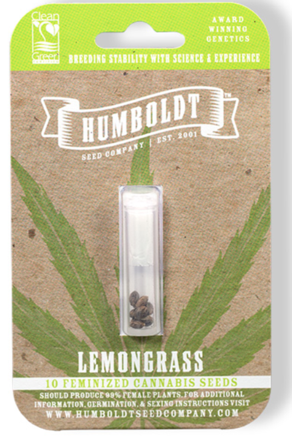 Lemongrass Female Seeds 5 Pack