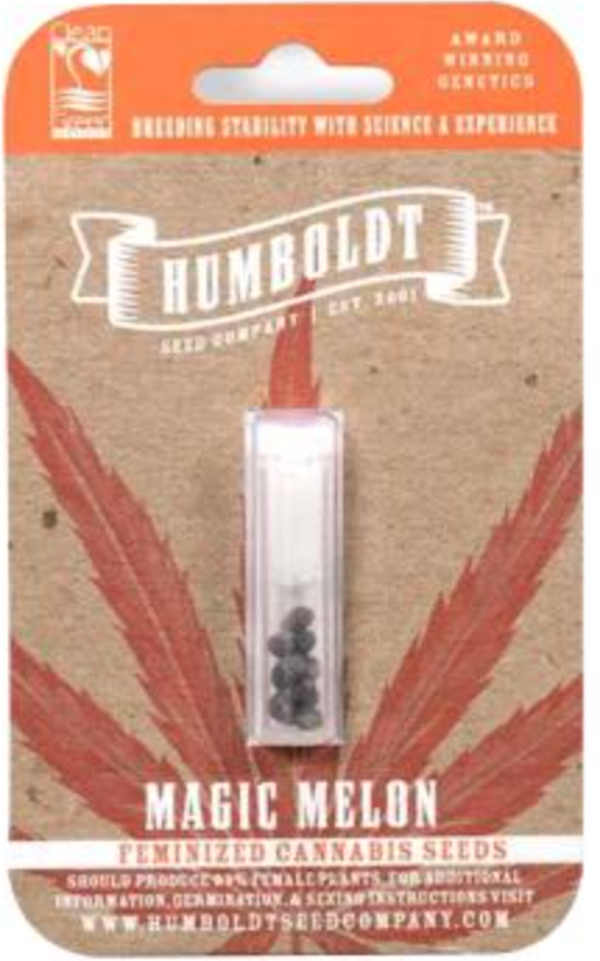 Magic Melon Female Seeds 5 Pack