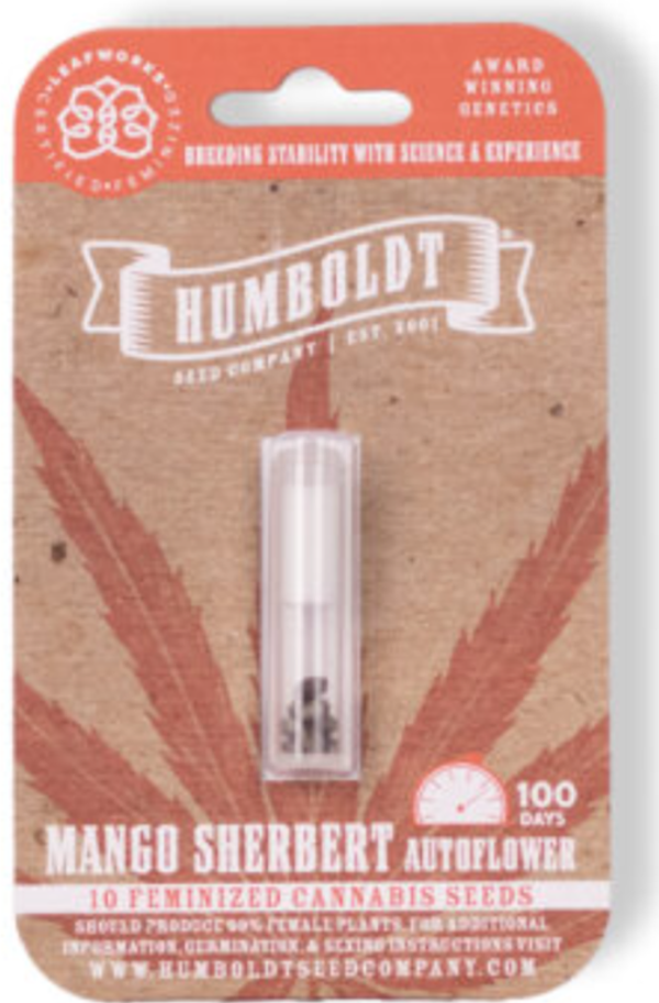 Mango Sherbert Autoflower Seeds 5 Pack