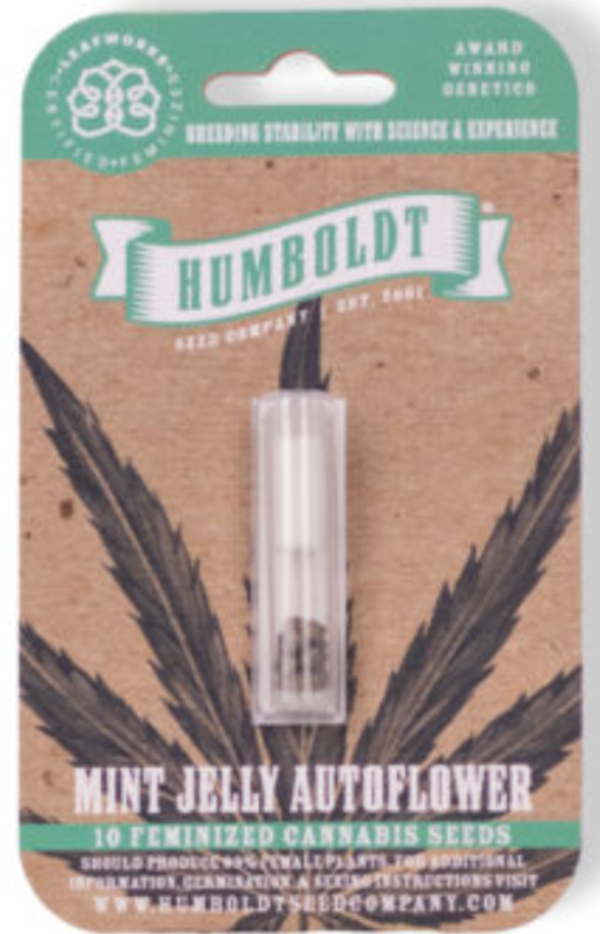 Mint Jelly Autoflower Seeds 5 Pack