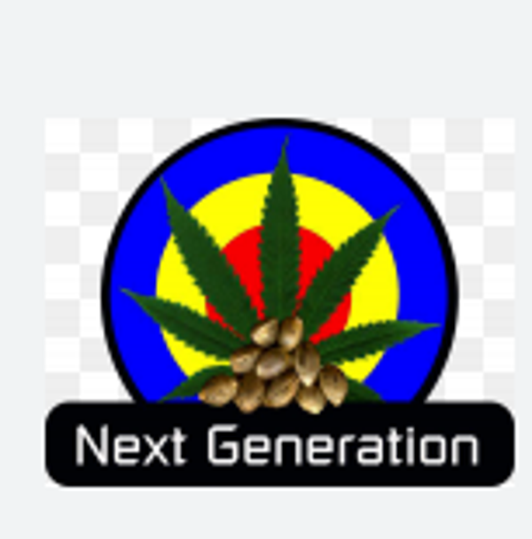 Next Generation GRAPE HAZE Seeds 5 Pack
