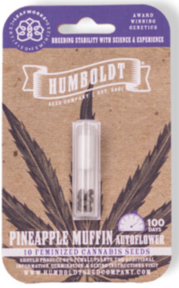 Pineapple Muffin Autoflower Seeds 5 Pack