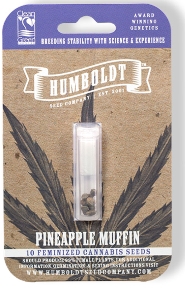 Pineapple Muffin Female Seeds 5 Pack