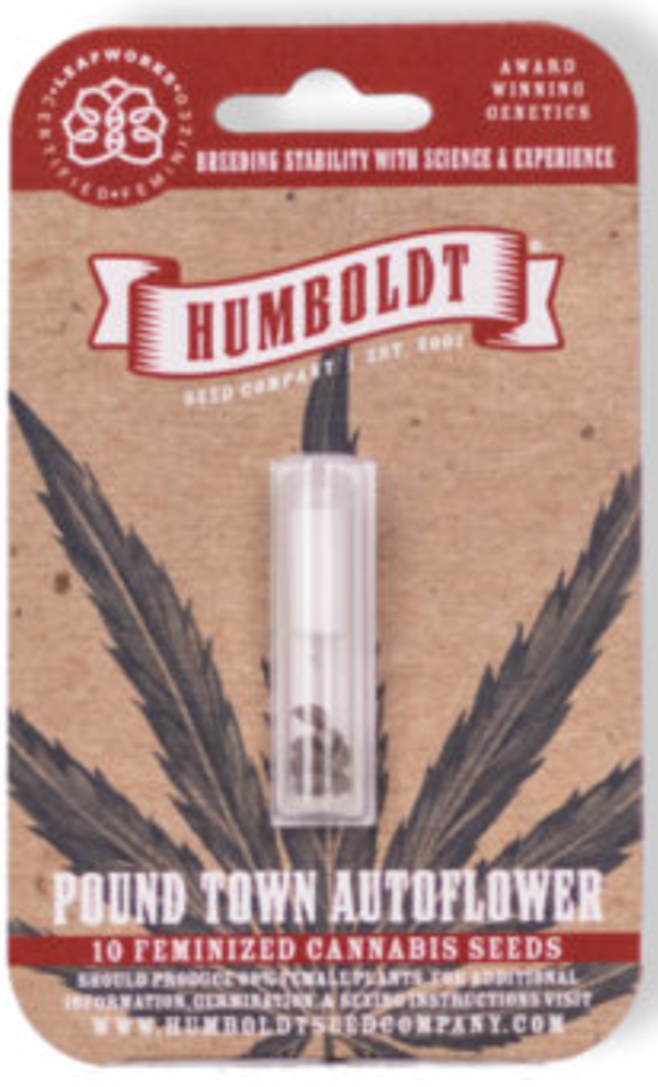 Poundtown Autoflower Seeds 5 Pack