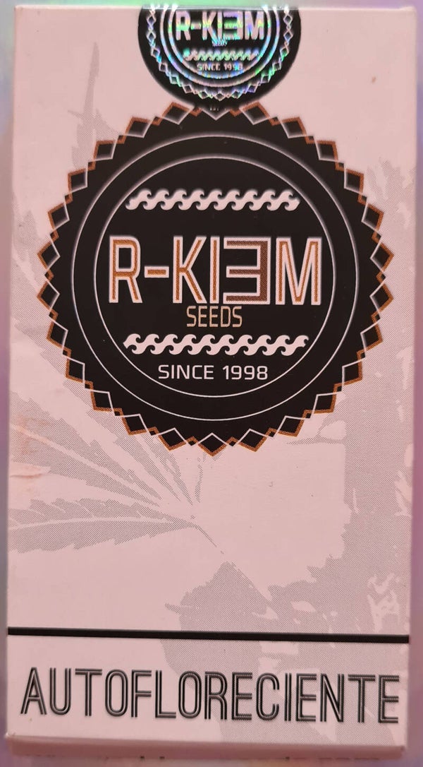 Condor Auto Seeds 10 Pack