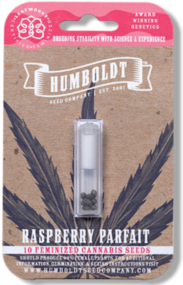 Raspberry Parfait Female Seeds 5 Pack