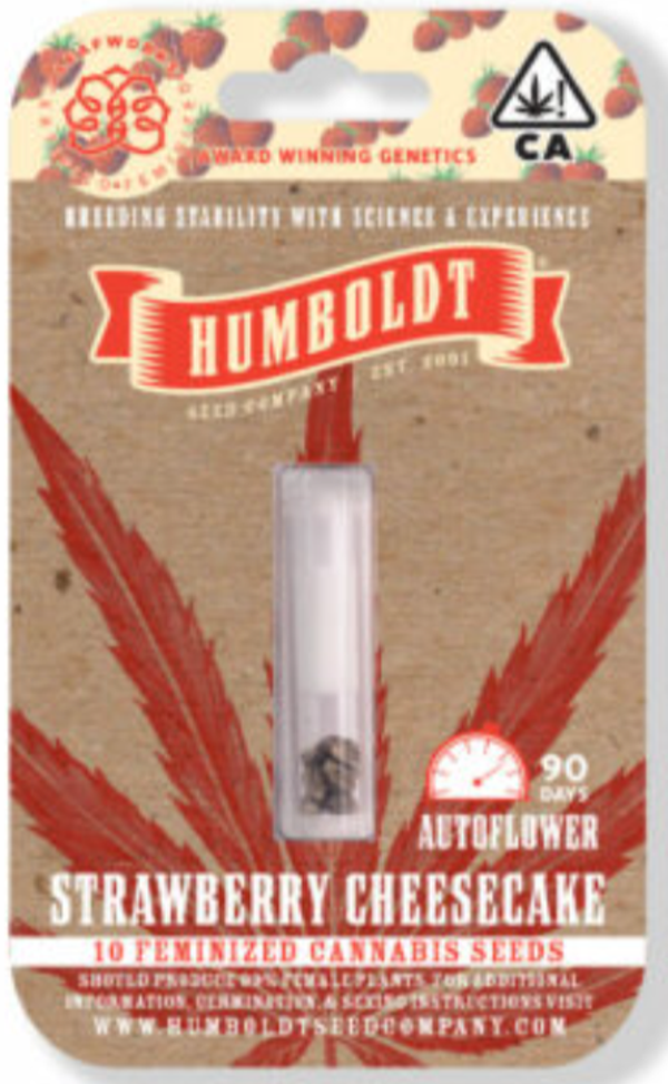 Strawberry Cheesecake Autoflower Seeds 5 Pack