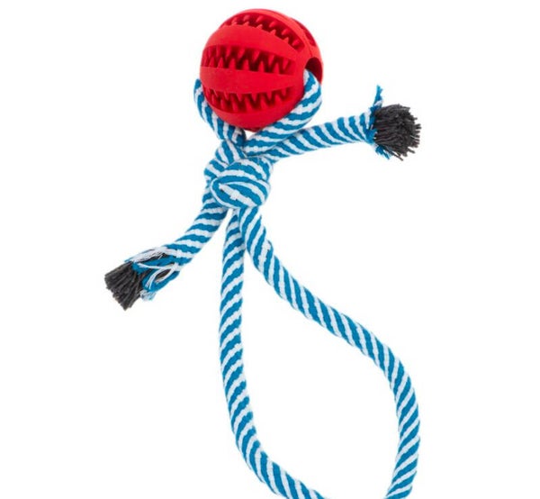 Speel bal met touw