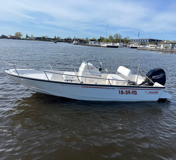 Boston Whaler Dauntless 15