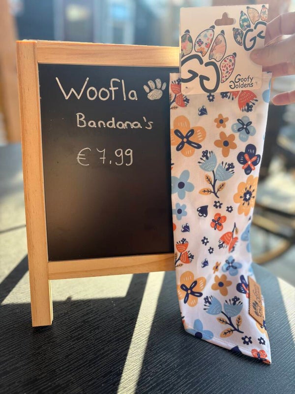 Bandana Lente