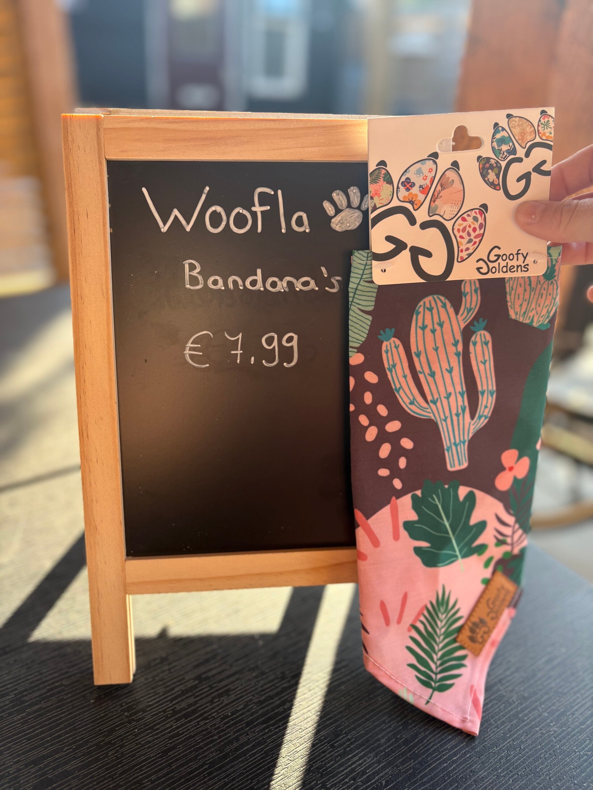 Bandana Cactus
