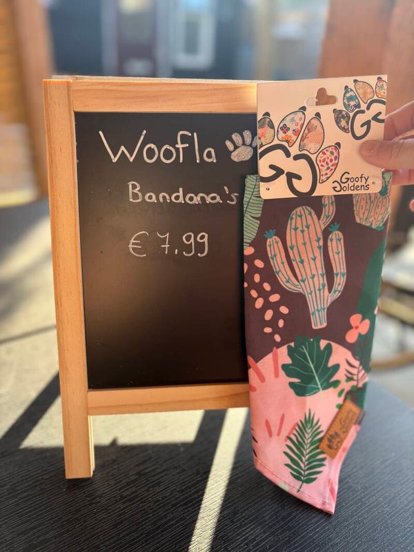 Bandana Cactus