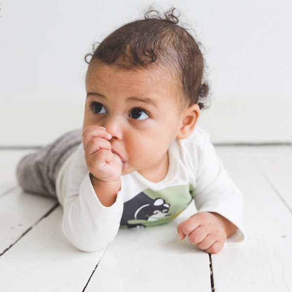 gift set bear off-white