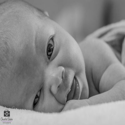 dsc_4600-2-standard-5o4r4n.jpg