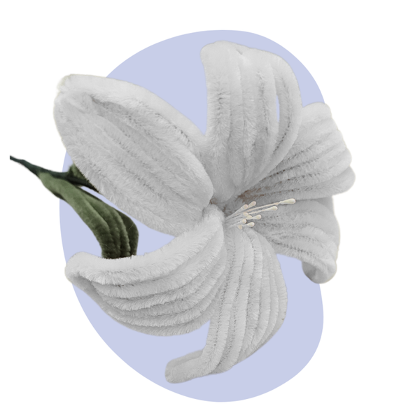 Lelie – Wit