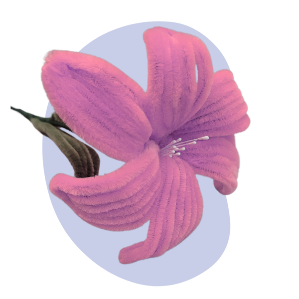 Lelie – Roze