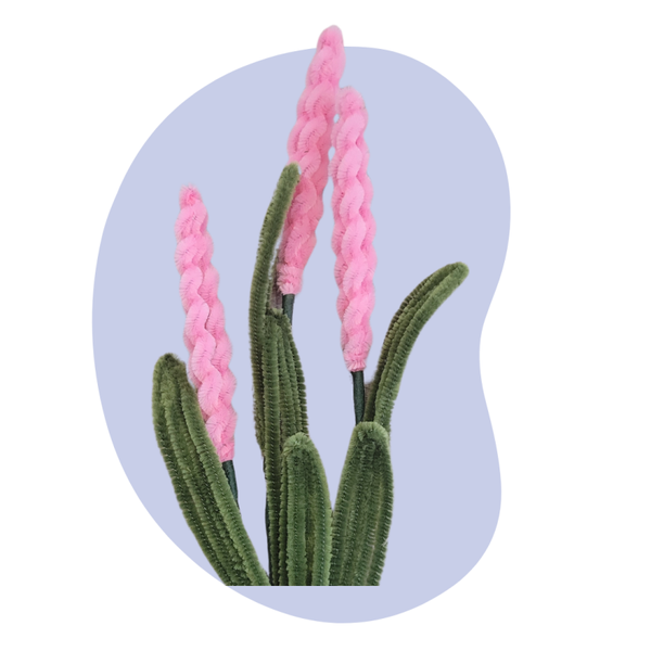 Lavendel – Roze