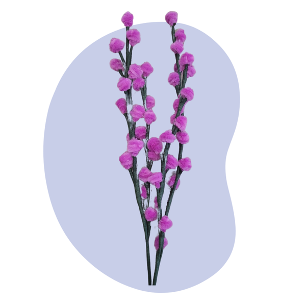 Wilgentakken – Fuchsia