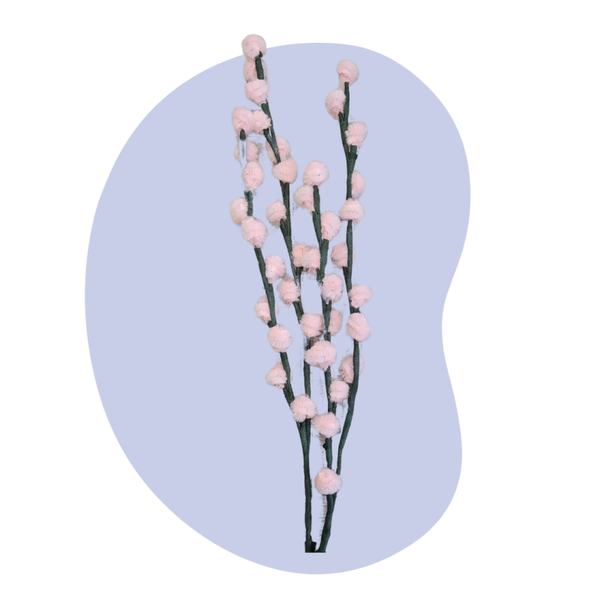 Wilgentakken – Licht Roze