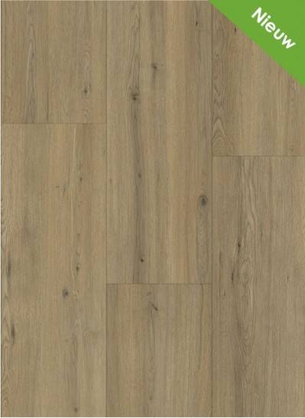 Maestro 80631 Disentis Oak €23,95/m²