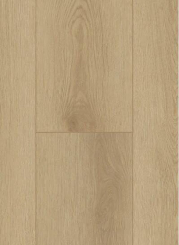 Firmfit 6500 (dryback) Sierra light €38,95/m²