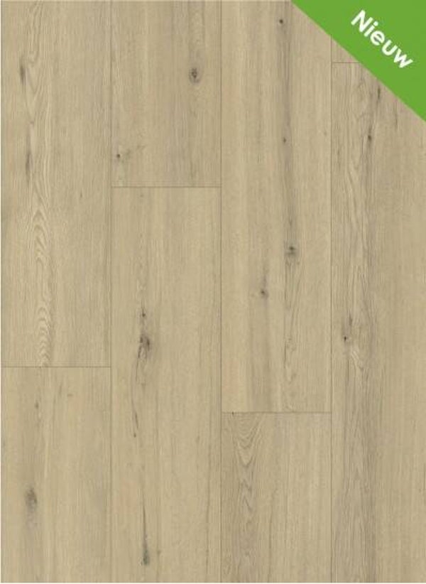 Momento 80641 Chur Oak €25,95/m²