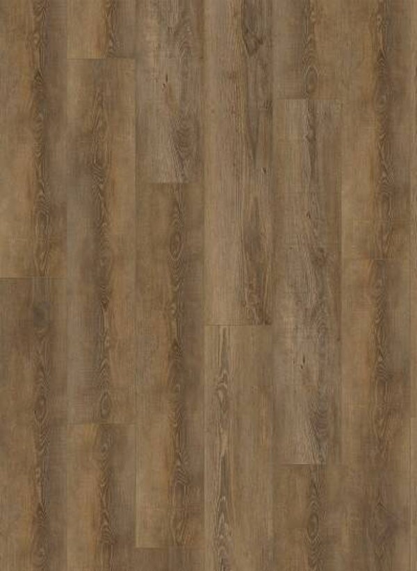City 4604 (dryback) Olympia Pine Natural €38,95/m²