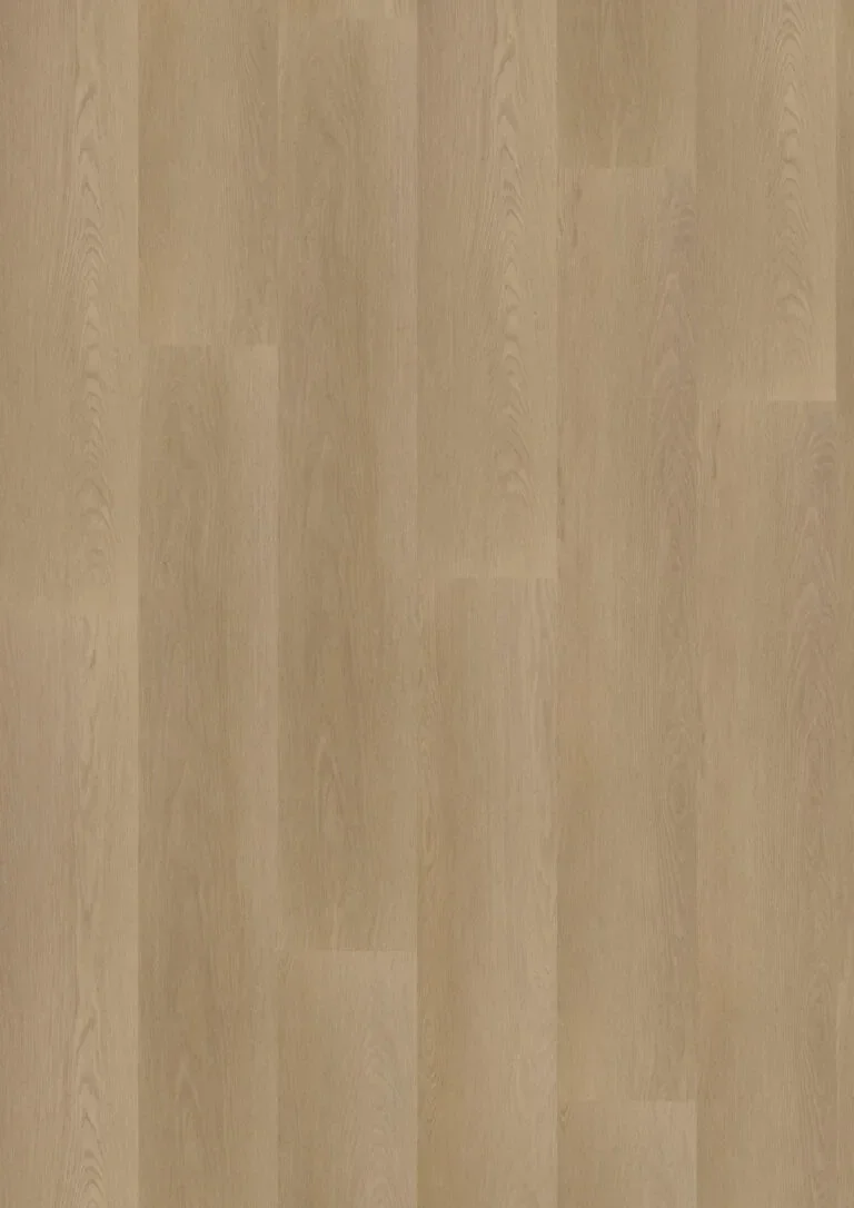 Ambassador Dryback Georgia 6 €39.95/m²