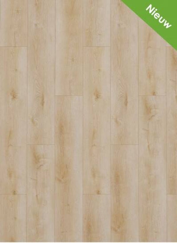 Dynamic 2500 (dryback) Natural light €35,95/m²