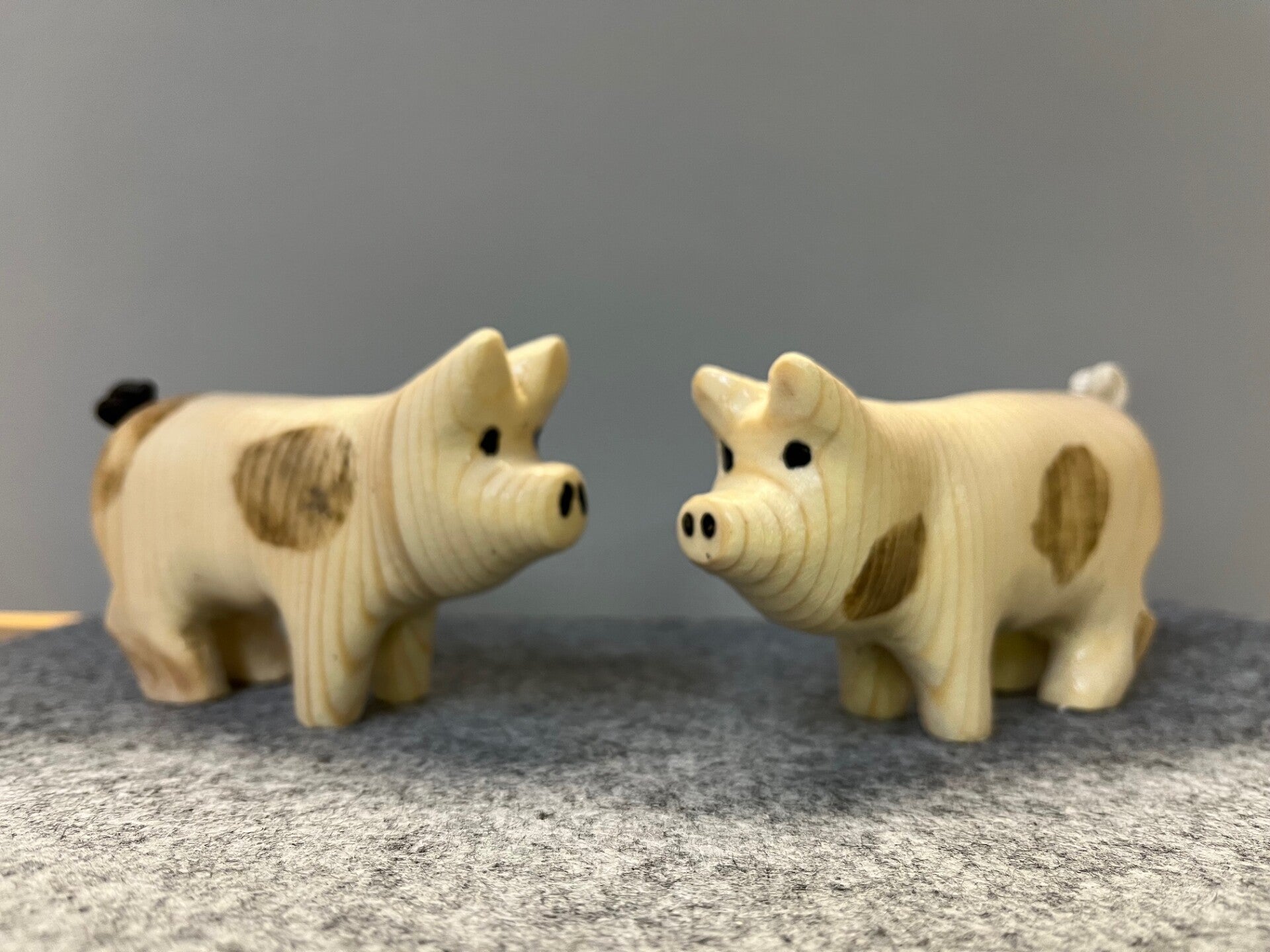 Schweine
