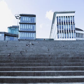 l1002259-test-1-standard.jpg