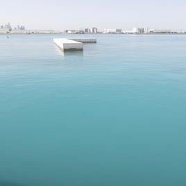 l1003311-standard.jpg