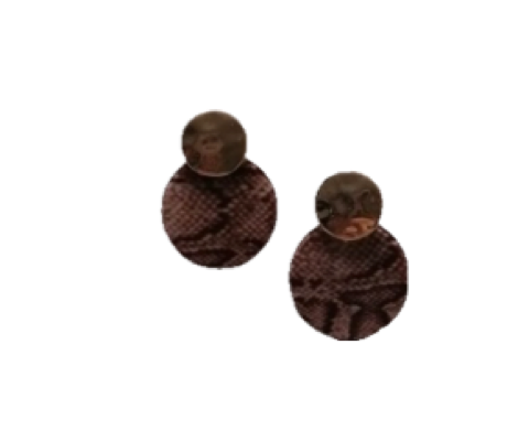Snake Oorbellen