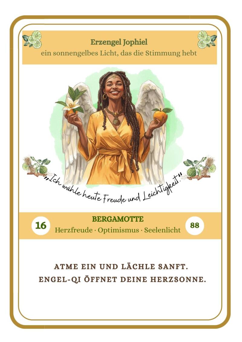 17-standard.jpg