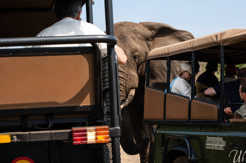 20071013 zuidafrika.jpg