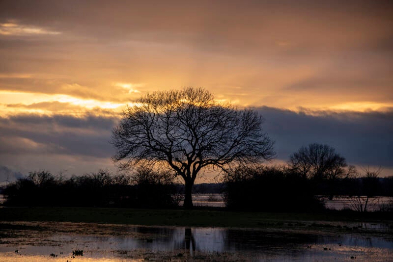 Zonsondergang bij Bronckhorst tijdens hoogwater 2