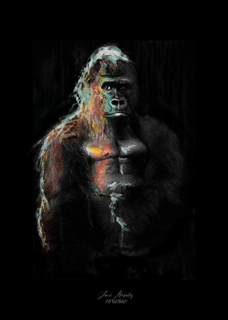 gorila4.jpg