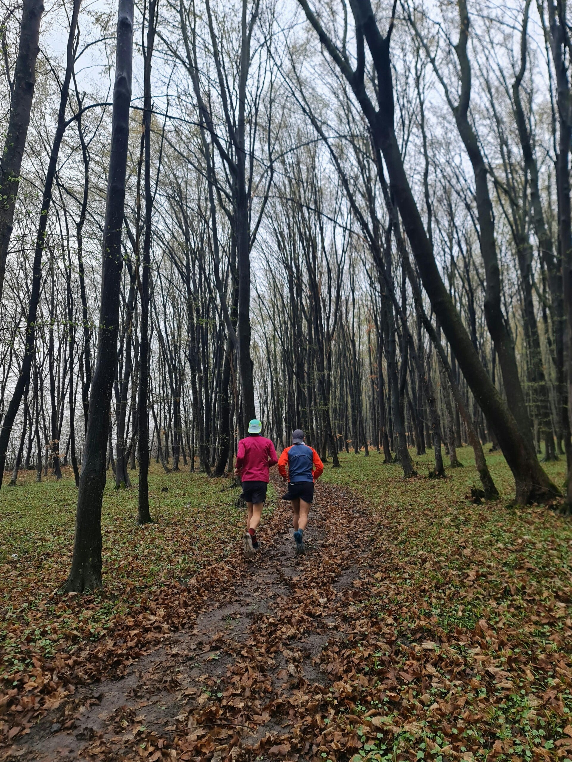 Run 4 mile (ca. 6 kilometer)